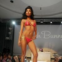 Breast Cancer Charities of America 2 Annual Fashion Show Fundraiser- Show | Picture 106223